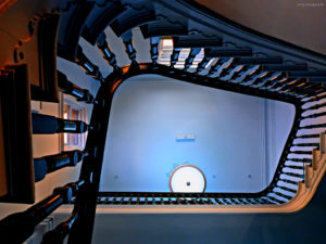 St Kilda - great stairs and great wildlife