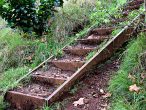 Climb on Maungawhau